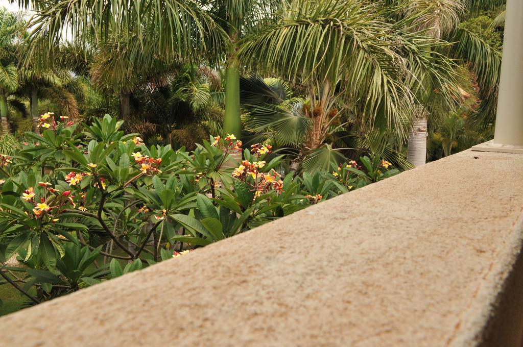Aloha Aku Inn & Suites Kihei Szoba fotó